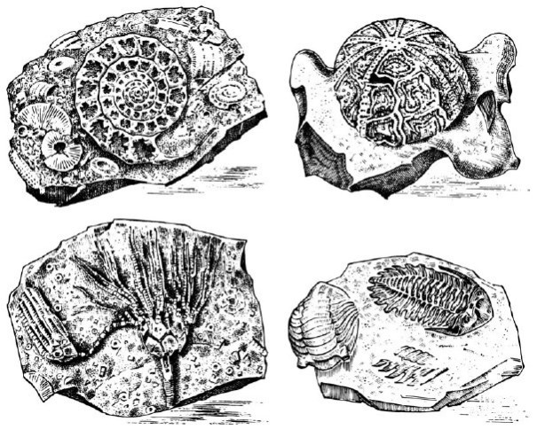 Иллюстрация к книге — Взламывая планету Земля [image19.jpg]