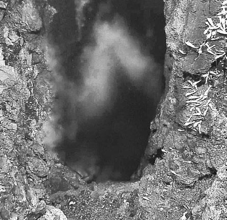 Иллюстрация к книге — Взламывая планету Земля [image208.jpg]