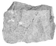 Иллюстрация к книге — Взламывая планету Земля [image235.jpg]