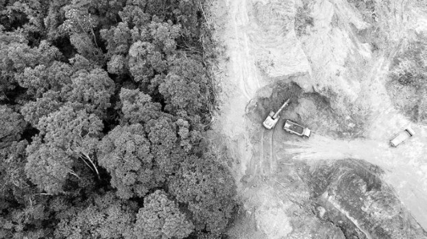 Иллюстрация к книге — Взламывая планету Земля [image250.jpg]