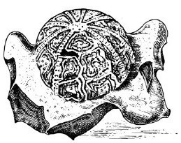 Иллюстрация к книге — Взламывая планету Земля [image3.jpg]