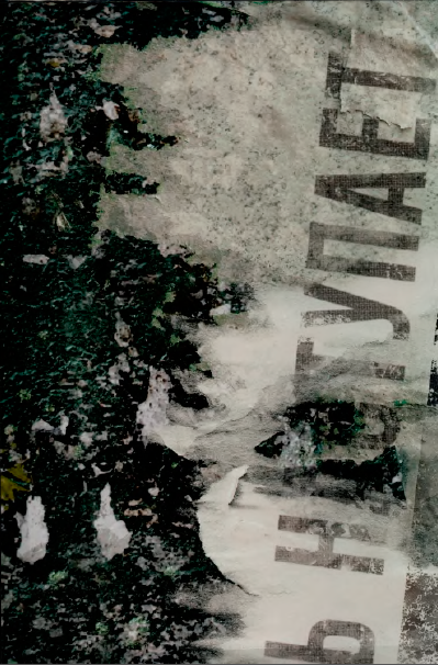 Иллюстрация к книге — Сумасшедший по фамилии Пустота [i_001.jpg]