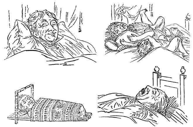 Иллюстрация к книге — Укус эволюции. Откуда у современного человека неправильный прикус, кривые зубы и другие деформации челюсти [i_014.jpg]