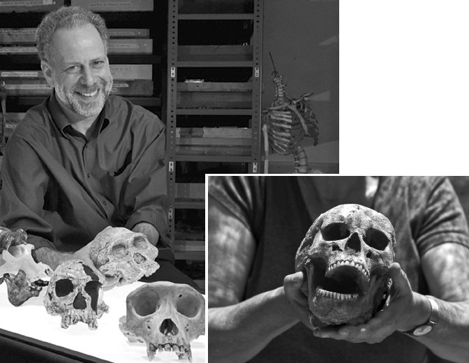 Иллюстрация к книге — Укус эволюции. Откуда у современного человека неправильный прикус, кривые зубы и другие деформации челюсти [i_015.jpg]