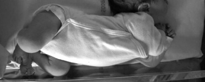 Иллюстрация к книге — Укус эволюции. Откуда у современного человека неправильный прикус, кривые зубы и другие деформации челюсти [i_029.jpg]