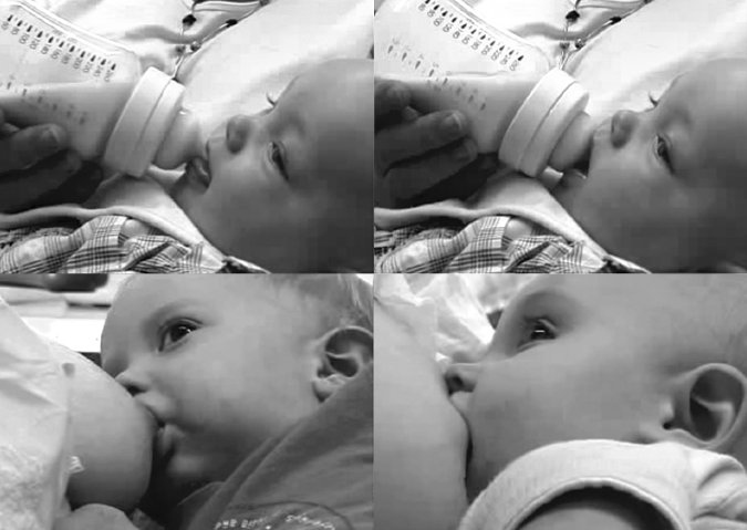 Иллюстрация к книге — Укус эволюции. Откуда у современного человека неправильный прикус, кривые зубы и другие деформации челюсти [i_031.jpg]