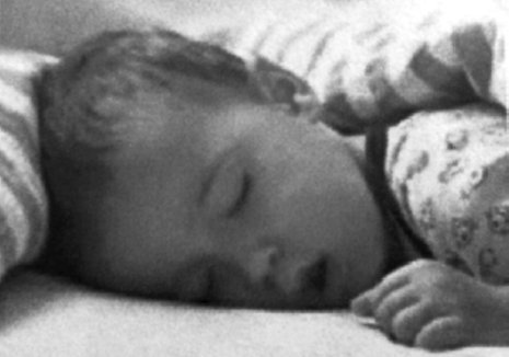 Иллюстрация к книге — Укус эволюции. Откуда у современного человека неправильный прикус, кривые зубы и другие деформации челюсти [i_039.jpg]