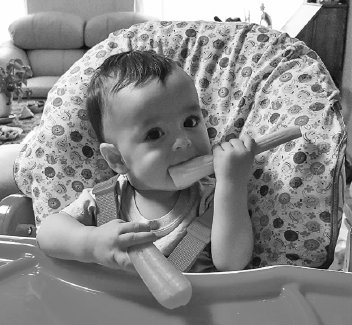 Иллюстрация к книге — Укус эволюции. Откуда у современного человека неправильный прикус, кривые зубы и другие деформации челюсти [i_044.jpg]