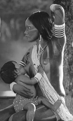 Иллюстрация к книге — Укус эволюции. Откуда у современного человека неправильный прикус, кривые зубы и другие деформации челюсти [i_047.jpg]