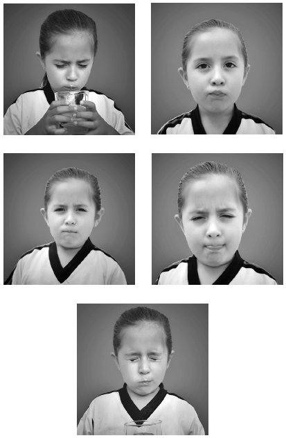 Иллюстрация к книге — Укус эволюции. Откуда у современного человека неправильный прикус, кривые зубы и другие деформации челюсти [i_060.jpg]