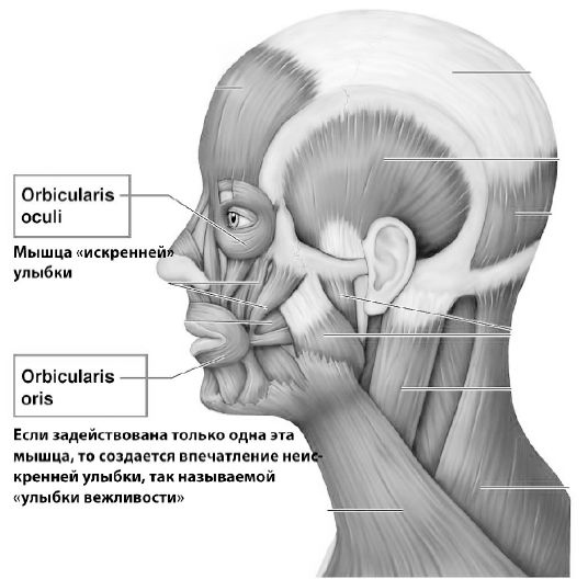 Иллюстрация к книге — Искусство харизмы [i_003.jpg]