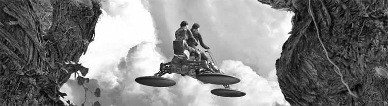 Иллюстрация к книге — Крепость большого леса [i_003.jpg]