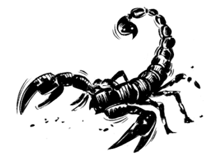 Иллюстрация к книге — Кольцо времён. Проклятие Сета [i_002.jpg]