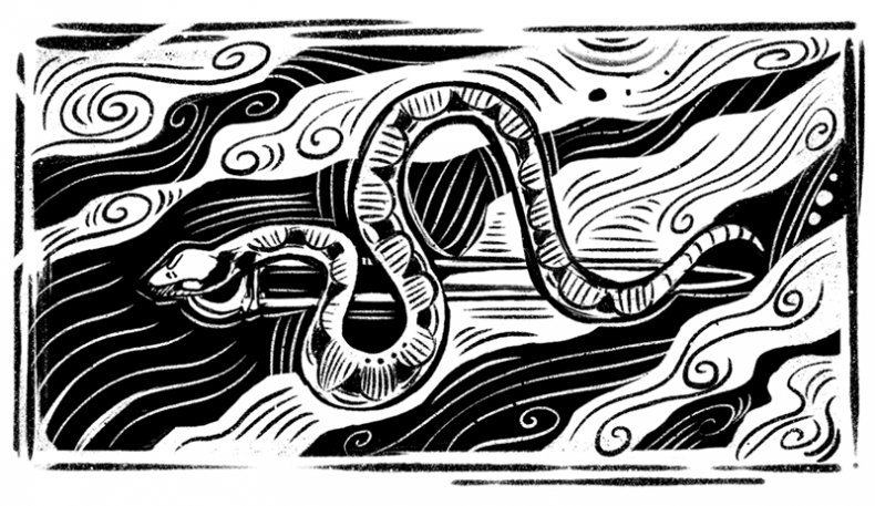 Иллюстрация к книге — Кольцо времён. Проклятие Сета [i_044.jpg]