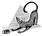 Иллюстрация к книге — Кольцо времён. Проклятие Сета [i_062.jpg]