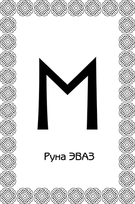 Иллюстрация к книге — Большая книга рун. Северная магия, которая может все! [i_067.jpg]