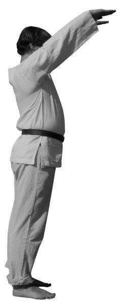 Иллюстрация к книге — Большая книга рун. Северная магия, которая может все! [i_102.jpg]