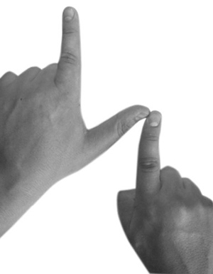 Иллюстрация к книге — Большая книга рун. Северная магия, которая может все! [i_199.jpg]