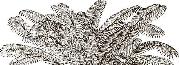 Иллюстрация к книге — Увлекательная анатомия [i_010.jpg]