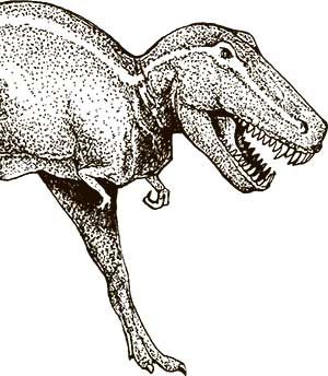 Иллюстрация к книге — Увлекательная анатомия [i_013.jpg]