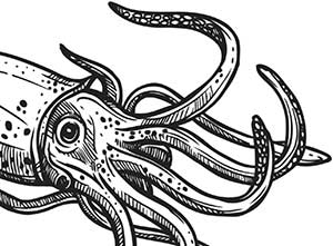 Иллюстрация к книге — Увлекательная анатомия [i_040.jpg]