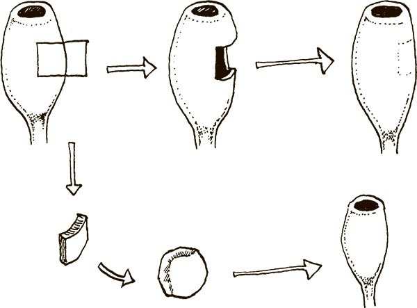 Иллюстрация к книге — Увлекательная анатомия [i_064.jpg]