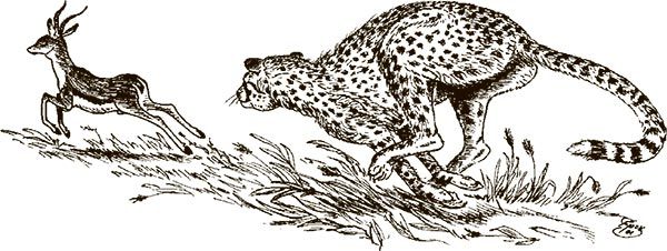 Иллюстрация к книге — Увлекательная анатомия [i_074.jpg]