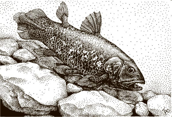 Иллюстрация к книге — Увлекательная анатомия [i_083.jpg]