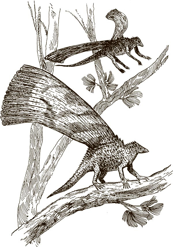 Иллюстрация к книге — Увлекательная анатомия [i_091.jpg]