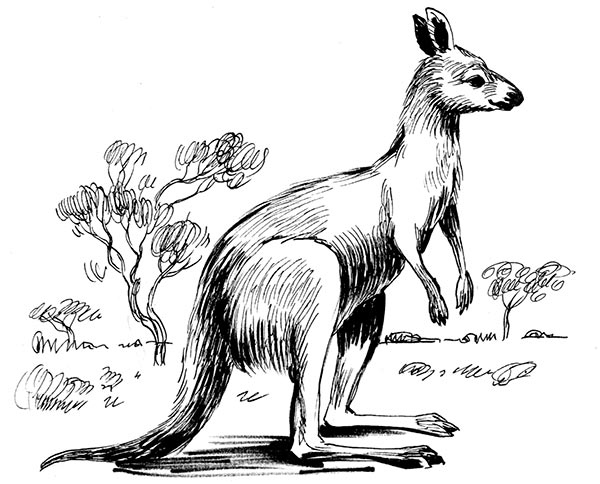 Иллюстрация к книге — Увлекательная анатомия [i_097.jpg]