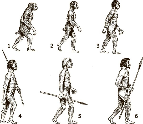 Иллюстрация к книге — Увлекательная анатомия [i_098.jpg]