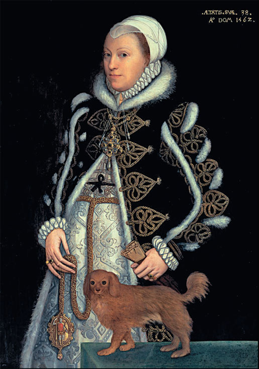 Иллюстрация к книге — Елизавета. Золотой век Англии [i_008.jpg]