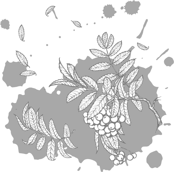 Иллюстрация к книге — Радость [_19.jpg]