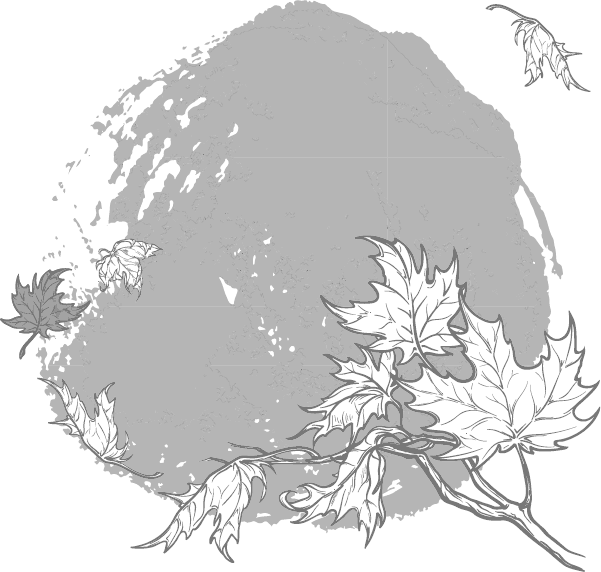 Иллюстрация к книге — Радость [_6.jpg]