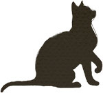 Иллюстрация к книге — Тишина моих слов [i_001.jpg]