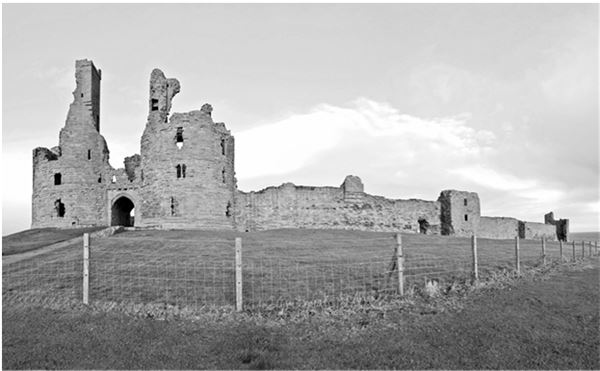 Иллюстрация к книге — Краткая история. Война Алой и Белой розы [i_014.jpg]