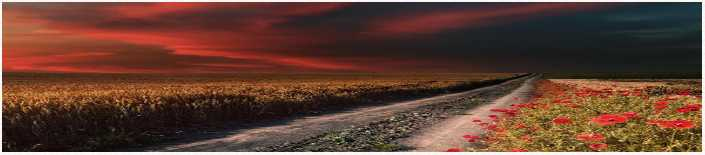 Иллюстрация к книге — Маленькая хозяйка замка Шгрив [i_002.jpg]