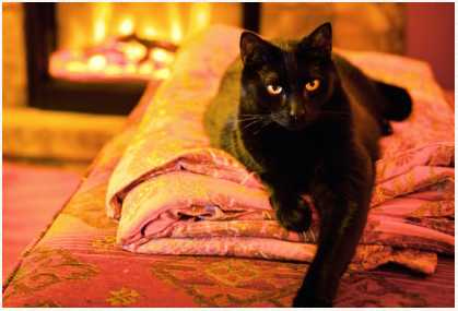 Иллюстрация к книге — Маленькая хозяйка замка Шгрив [i_040.jpg]