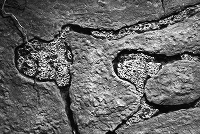 Иллюстрация к книге — Подземный мир. Нижние этажи цивилизации [i_039.jpg]