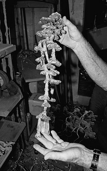 Иллюстрация к книге — Подземный мир. Нижние этажи цивилизации [i_047.jpg]