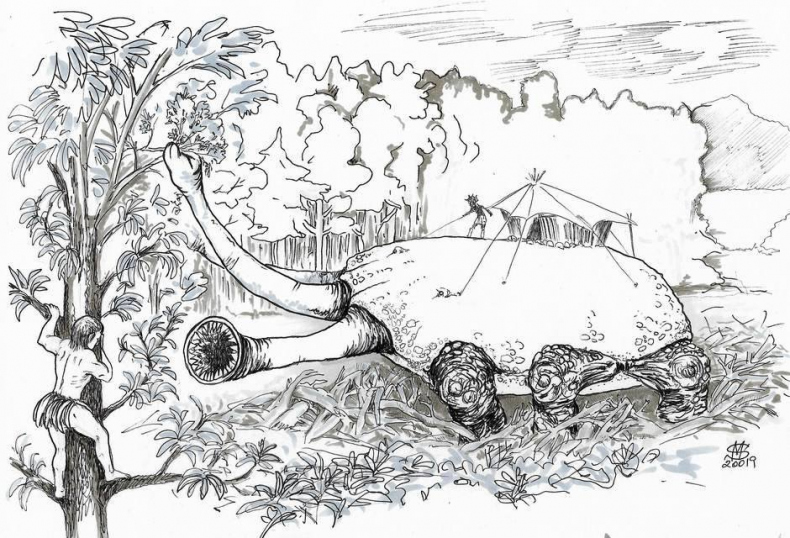 Иллюстрация к книге — Доля слабых [i_004.jpg]