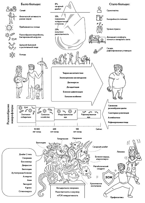 Иллюстрация к книге — Воля к жизни. Как использовать ресурсы здоровья по максимуму [i_015.jpg]