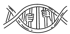 Иллюстрация к книге — Воля к жизни. Как использовать ресурсы здоровья по максимуму [i_017.jpg]