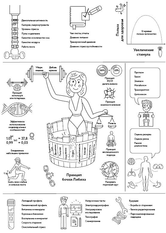 Иллюстрация к книге — Воля к жизни. Как использовать ресурсы здоровья по максимуму [i_025.jpg]