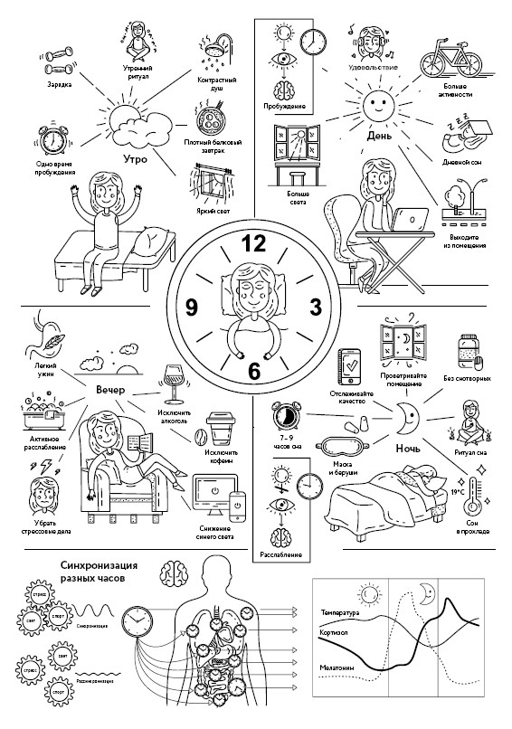 Иллюстрация к книге — Воля к жизни. Как использовать ресурсы здоровья по максимуму [i_058.jpg]