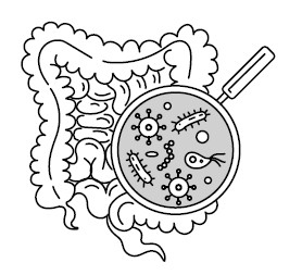 Иллюстрация к книге — Воля к жизни. Как использовать ресурсы здоровья по максимуму [i_119.jpg]
