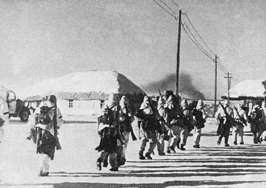 Иллюстрация к книге — Танки между Доном и Северским Донцом. Воспоминания командира танковой роты о зимних сражениях под Сталинградом. 1942–1943 [i_087.jpg]