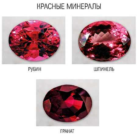 Иллюстрация к книге — Ваши руки и ладони раскрывают вам секреты. Хиромантические этюды [_08.jpg]