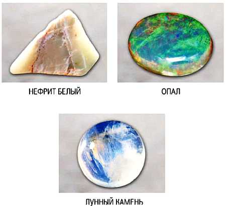 Иллюстрация к книге — Ваши руки и ладони раскрывают вам секреты. Хиромантические этюды [_17.jpg]