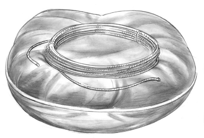 Иллюстрация к книге — Чудо-женщина. Амазонка-воительница [i_048.jpg]